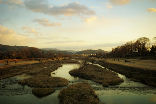 ホニャララさえあればいいという極論 / 京都市北区