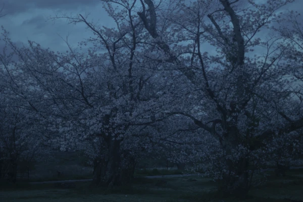 スキップボタンを探しています / 京都市西京区